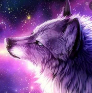 Meet your Posher, Hailey